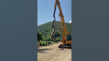 Caught on Camera:  Moving a Giant Snake with a Crane! #shorts #shortvideo #monster #crane #snake