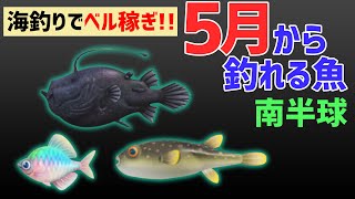 あつ森 5月から釣れる魚の魚影や出現場所 時間を解説 海釣りで稼ぐ 南半球編 Youtube