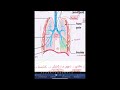Respiration et cicrulation sanguine