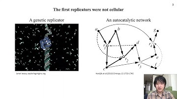 Takagi, Yuta: Using Digital Life Sims to Examine the Evolutionary Origin of Cellularity & Metabolism