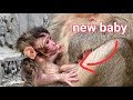 baby new mother love you, com to see baby monkey new cute