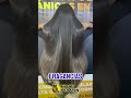 ¿QUIERES UN LISO EXTREMO? CAVIAR MIAMI KERATIN