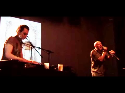 the art of skinlessness - BIENVENUE - live at Mix'Art Myrys, 2010/02/27