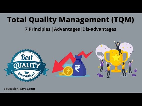 Video: Wat is de TQM-methodologie?