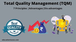 What is Total Quality management (TQM)? |  7 Principles of Total Quality Management