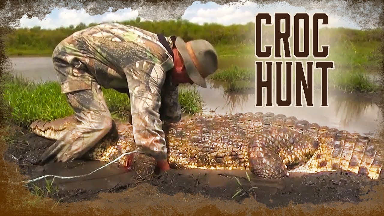 Hunting Crocodile Part 1 YouTube