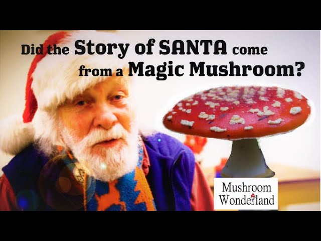 Did the story of Santa come from a Magic Mushroom? The story of Amanita Christmas. (See Notes)