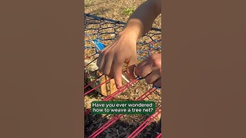 How to Weave a Tree Net Video Course