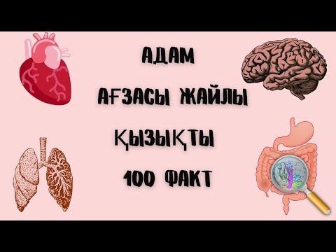 Адам ағзасы жайлы қызықты 100 факт| Егер адам 10 күн ұйықтамаса. . . | Қазақша