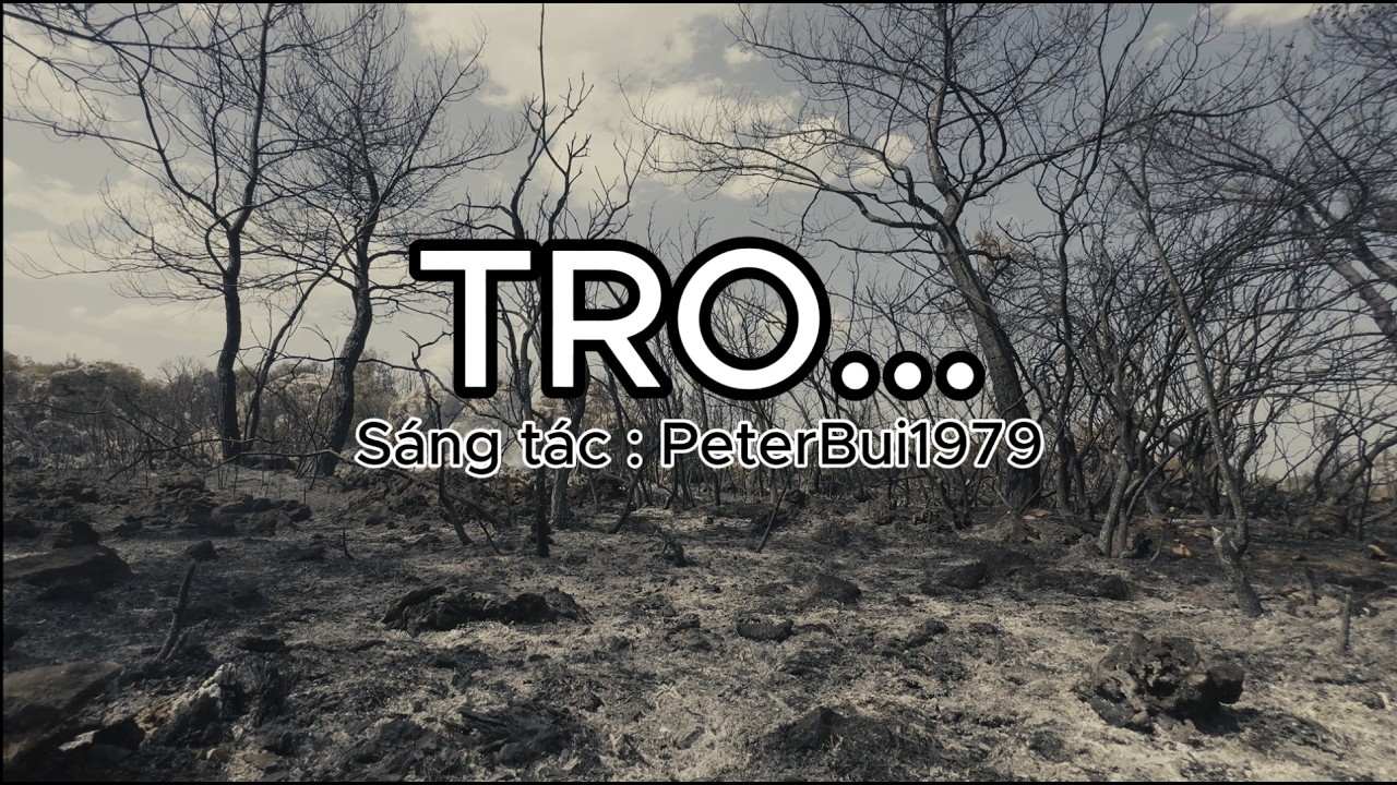 Ca khúc : TRO...     I@PeterBui1979    #amnhac #xuhuongyoutube#NhacHayMoiNgay