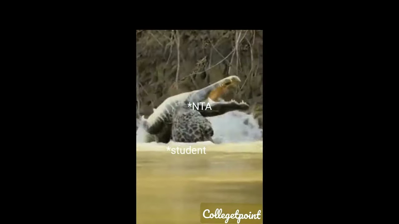 NTA vs Student Jee Mains April attempt#jeemainshorts#meme#shorts