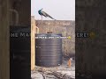 Ginger With Peacock! #funnyshorts #funnycat #viralshorts