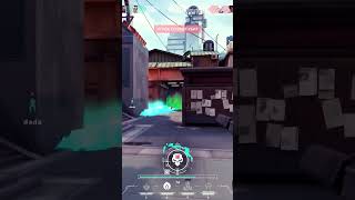 Volorant 2 With Usp volorant viper