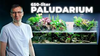 Our Most Ambitious Paludarium Build Yet