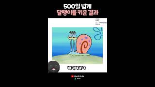 500일 넘게 달팽이를 키운 결과? 😨