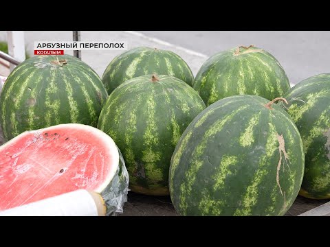 Стоит ли покупать арбузы в июне?