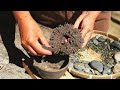 I Built a Pen with Nature! Magnetized elements and Sand turned into Wonderful things