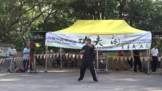 香港功夫表演201611064
