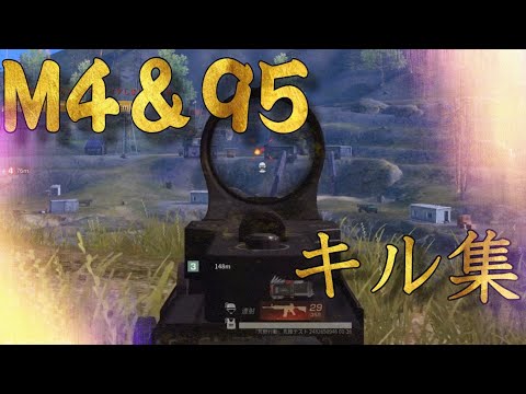 【荒野行動】界隈最高峰　m4&95式　キル集