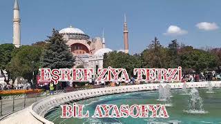 EŞREF ZİYA TERZİ - BİL AYASOFYA Resimi