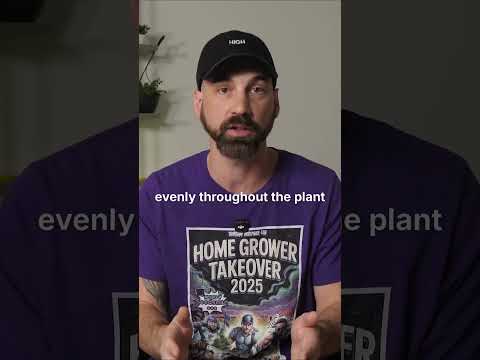 Why Bigger Plants Don't Mean Bigger Harvests