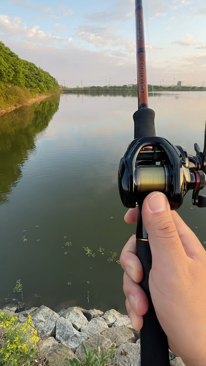 shimano scorpion dc pengecoran panjang