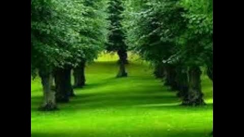 سورة التوبة للشيخ عبد الرحمن العوسي 🌼