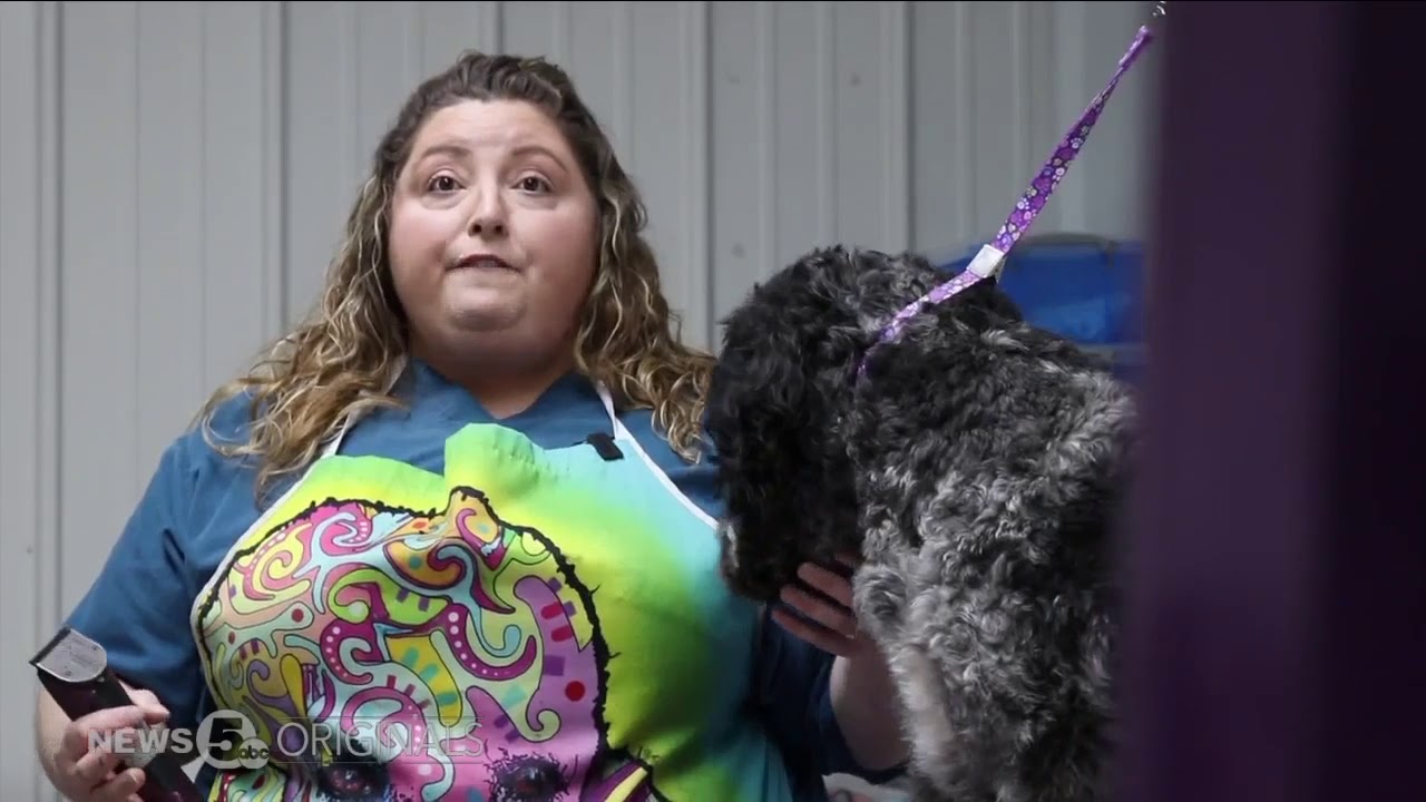 Doodle Dilemma: Groomers warn owners about dog breed care