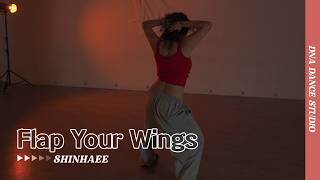 Nelly - Flap Your Wings | SHINHAEE Choreography | DNA Dance Studio