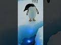 I’m a Penguin in Antarctica… My GoPro Found a Hidden World Beneath the Ice