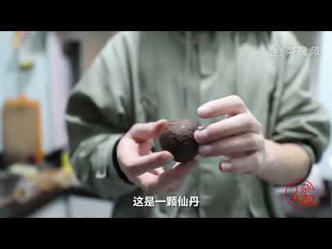 厉害了，我的浙大！炼出一颗可以长生不老的仙丹！！！