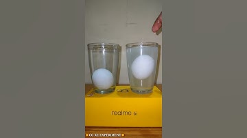 Egg VS Salt Water | Science Experiment | #ytshorts
