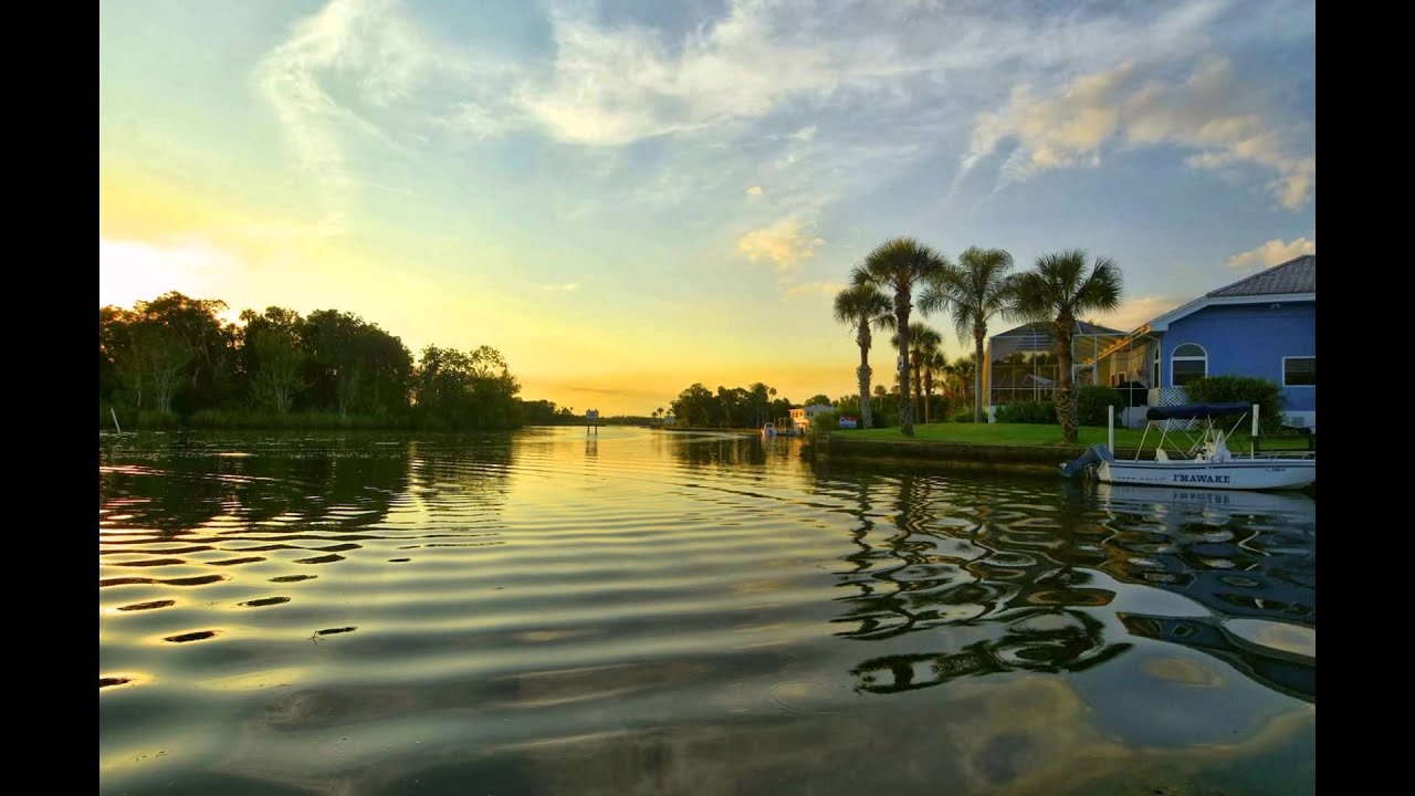Crystal River - Manatee ex Sarasota via St. Petersburg BoTravel Florida Rundreise 3. EtappeManatee