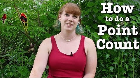 Backyard Science: How to do a bird point count