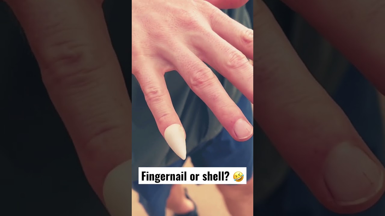 Vote below 🤣🤣🤣 