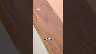 Shocking new crime scene photos from the Idaho murders