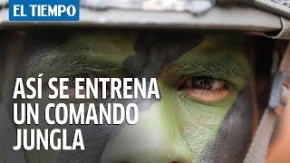 ¿Cómo se entrena un Comando Jungla del ejército de Colombia? | El Tiempo