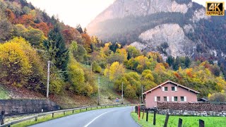 🍂🍁🎃 Golden Autumn Moments in Grindewald and Lauterbrunnen Switzerland 🇨🇭 | #swiss #swissview