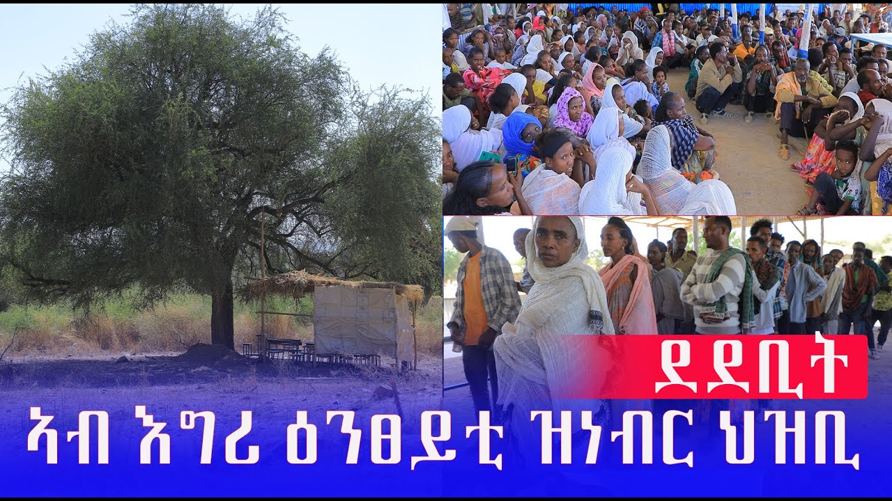 ደደቢት ኣብ  እግሪ ዕንፀይቲ ቃንጫ ዓፂድና ኢና ንነብር ዘለና