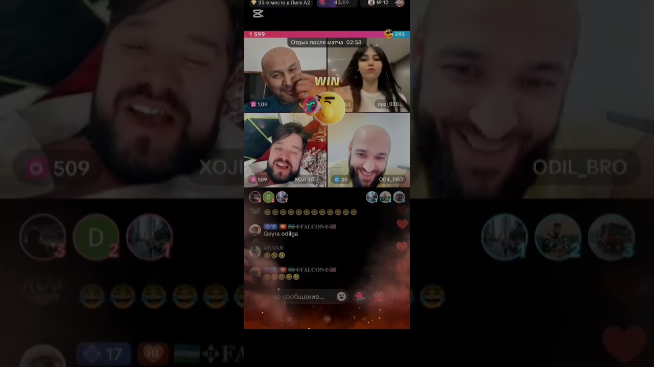 ZEK / XOJI / ODIL / NOZI 2