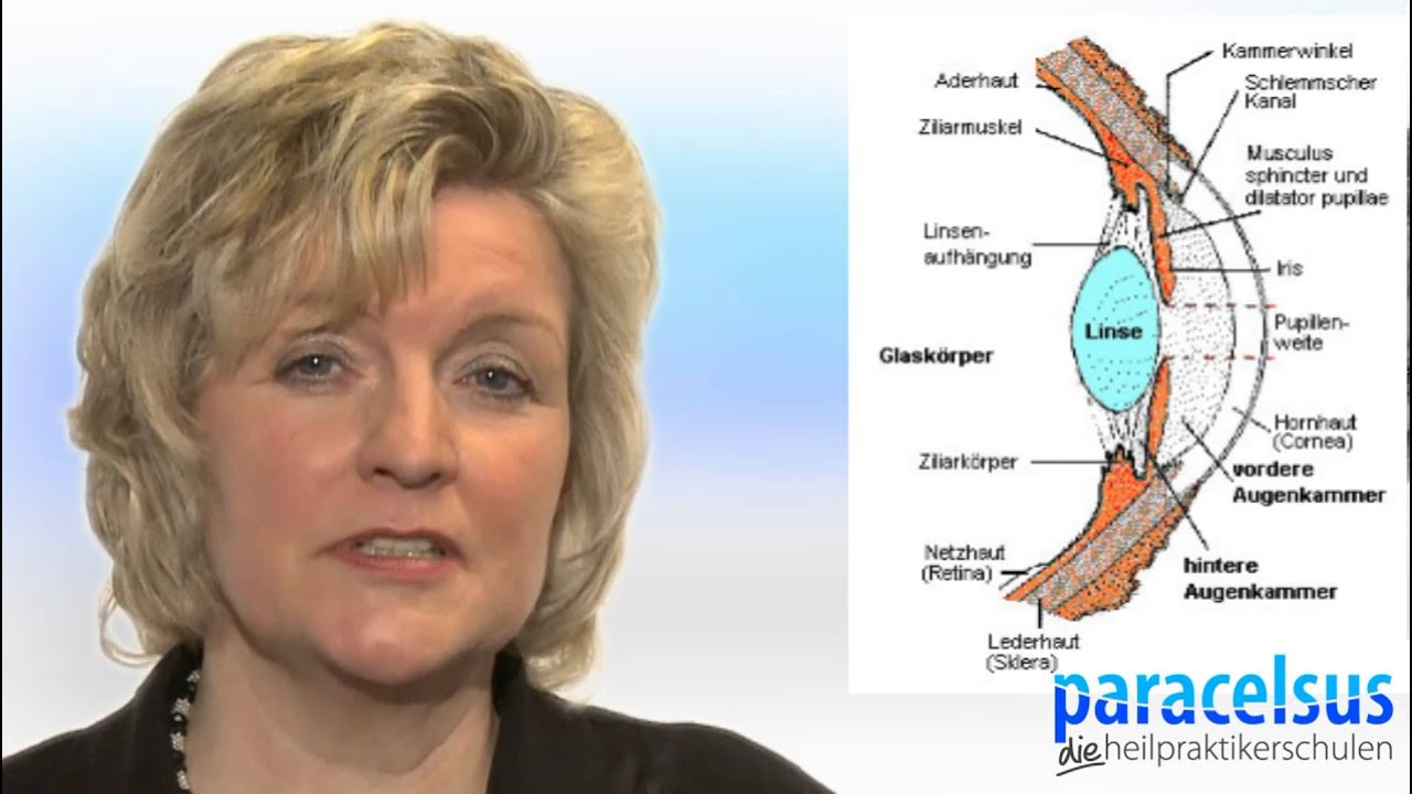 Visueller Fitnesstrainer - Seminar an den Paracelsus Schulen