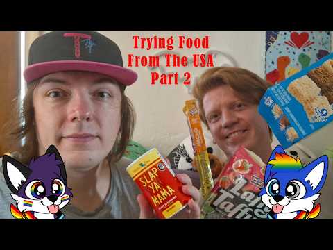 Nice or Horrible? | Trying Food From USA Part 2 | IRL