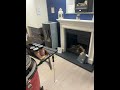 No1 Fires showroom