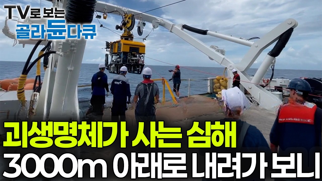 최초 공개되는 직접 찍은 심해 생명체의 충격적인 장면, 3000m 아래 심해에는 어떤 희귀 생명체들이 살까｜취미는 과학｜#골라듄다큐