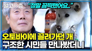 “자기 인생을 포기한 듯한 표정이었어요” 죽음의 위기에서 살려낸 천사 구조자들. 구조된 후 어떻게 지내는지 찾아가 봤더니..｜세상에 나쁜 개는 없다｜알고e즘