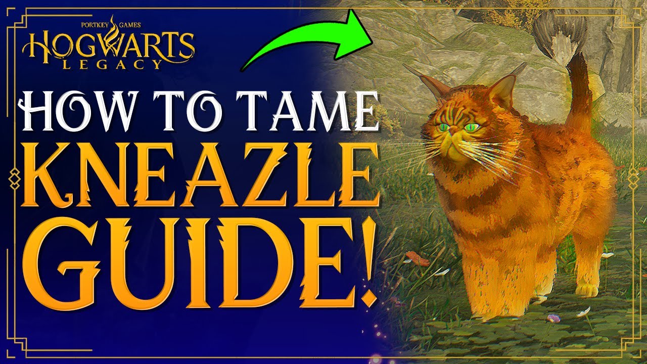 Hogwarts Legacy How To Get KNEAZLE CAT How To Tame / Catch Kneazle