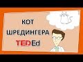 🔶 Кот Шредингера [Ted-Ed на русском]