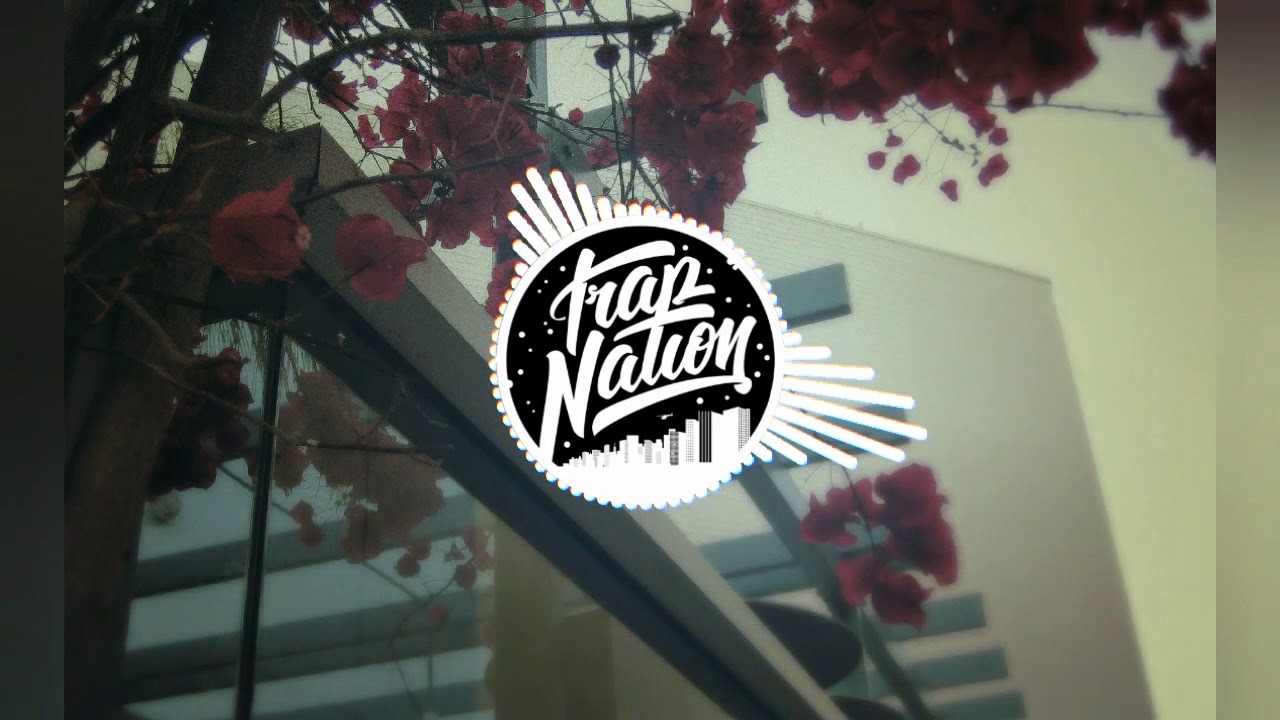 ANIMALS Martin Garrix 8D - Trap Nation