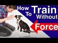 How to Train your Dog Without Force: Stop Puppy Biting, Pay Attention and Train Smarter!