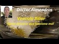 Vesicula biliar como detectar que no funciona como debiera sintomas. Vesícula biliar.
